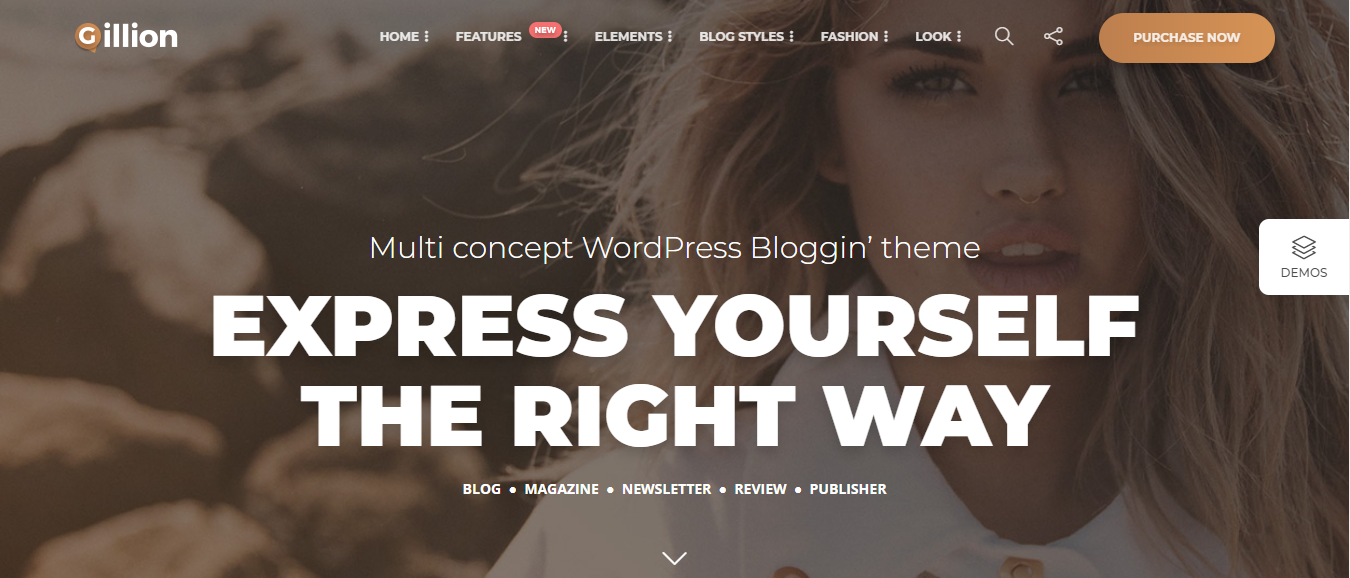 Gillion - minimalist WordPress theme