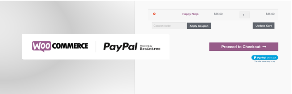 WooCommerce PayPal plugin by Braintree